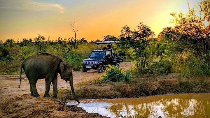 Udawalawe National Park
